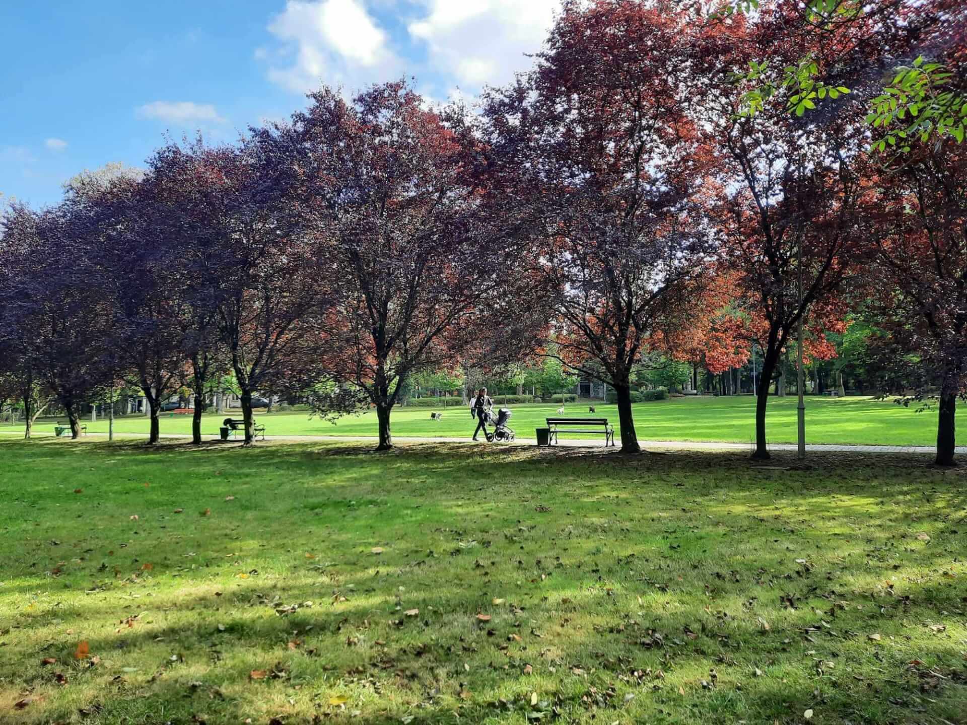 Park kosciuszki katowice 04