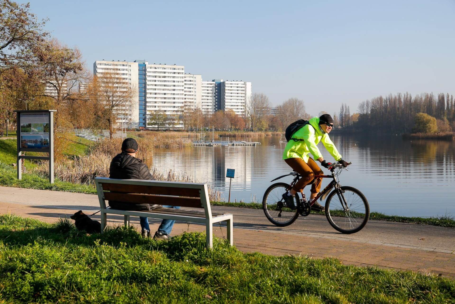 Rower katowice