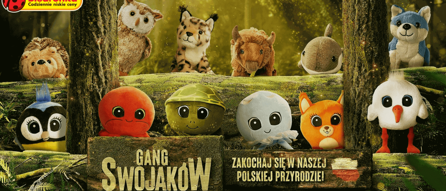 Gang Swojaków, Biedronka