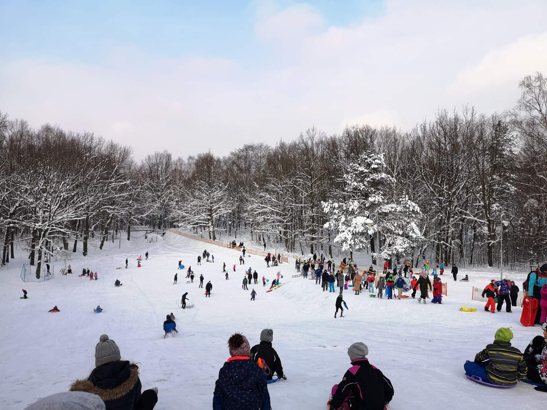 Tor saneczkowy park kosciuszki