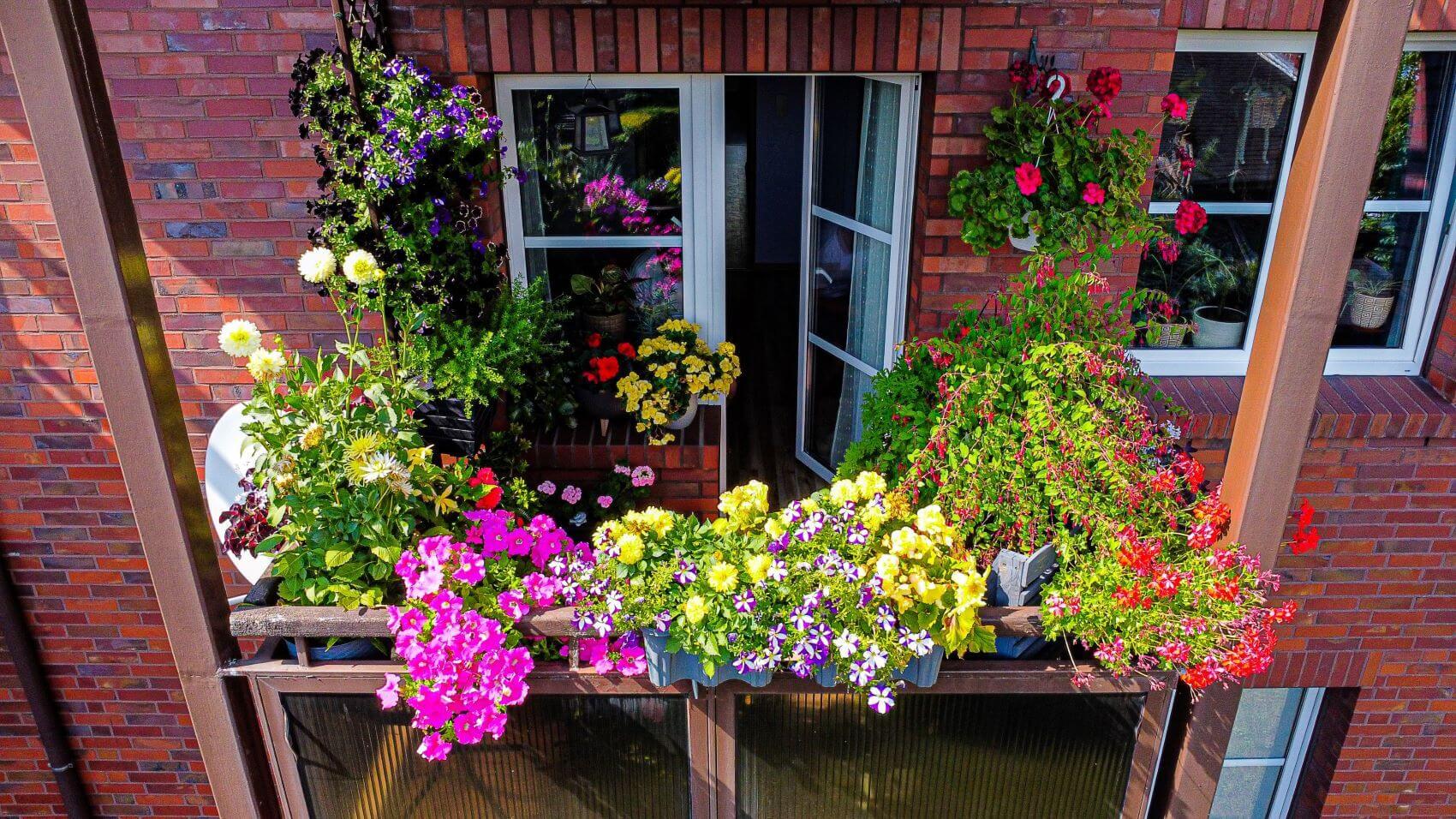 Balkon Katowice