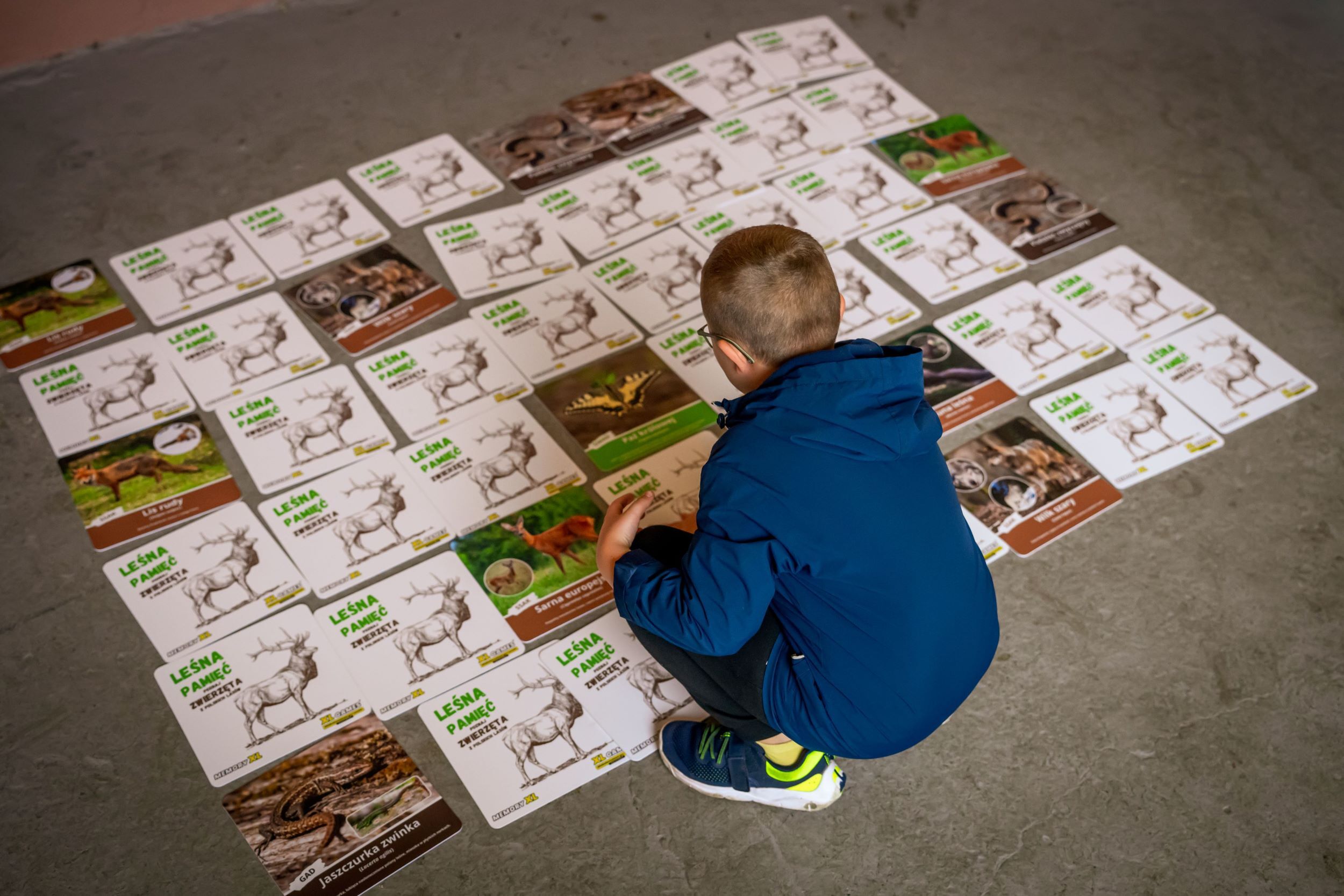 Ekologiczna edukacja najmłodszych Katowice