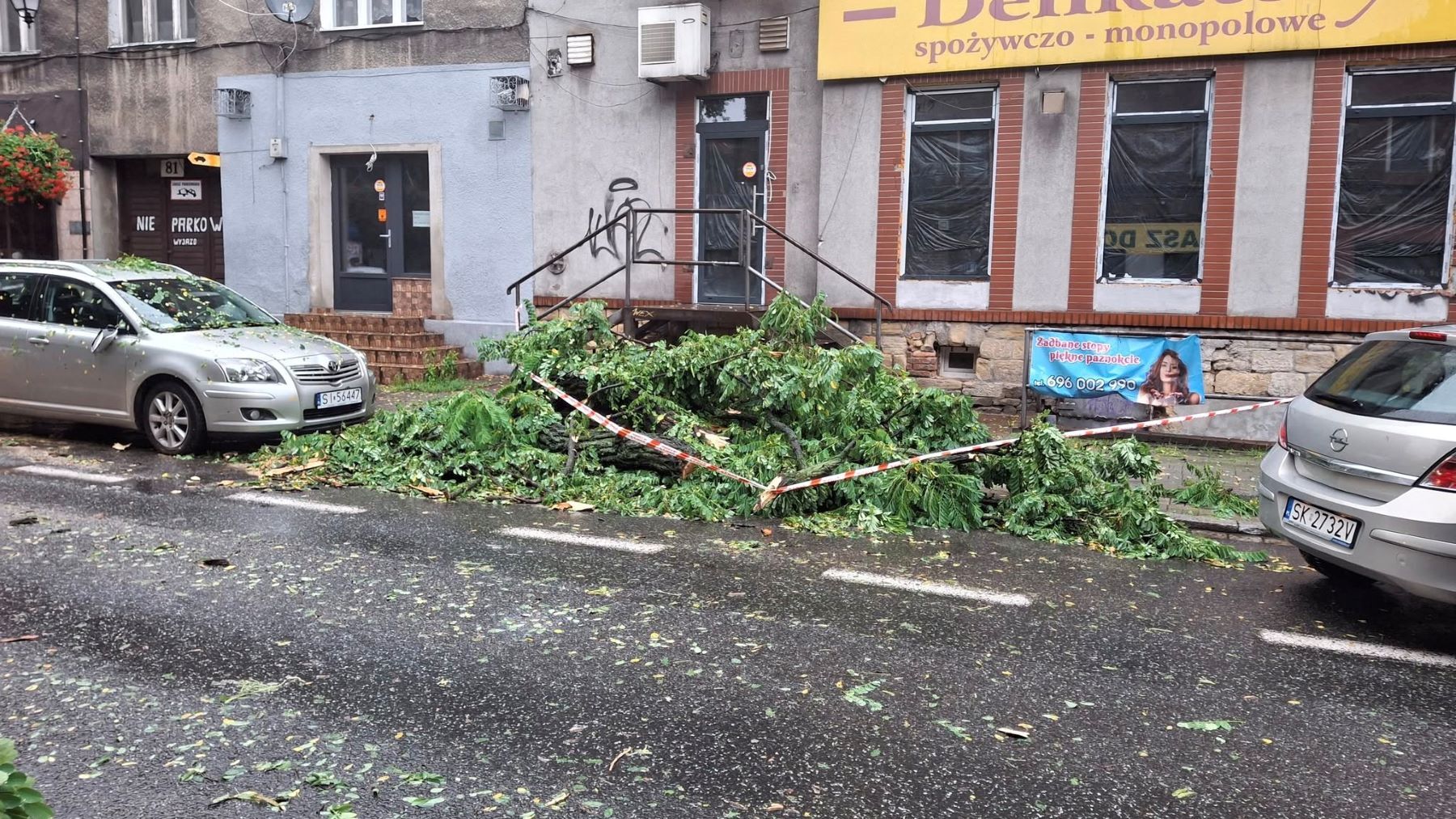 Katowice Bogucice Markiefki powalone drzewo 28 07 2025
