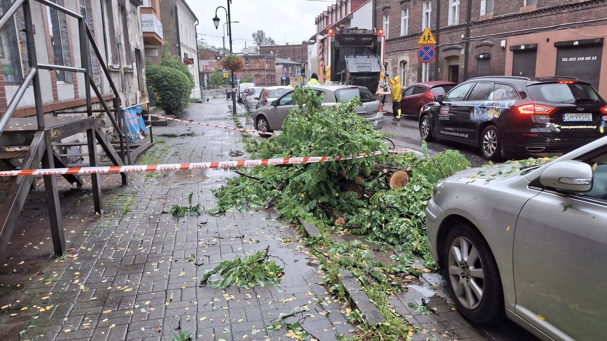 Katowice Bogucice Markiefki powalone drzewo 28 07 2025