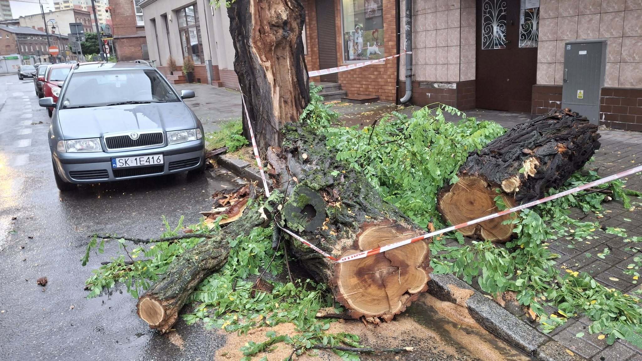 Katowice Bogucice Markiefki powalone drzewo 28 07 2025