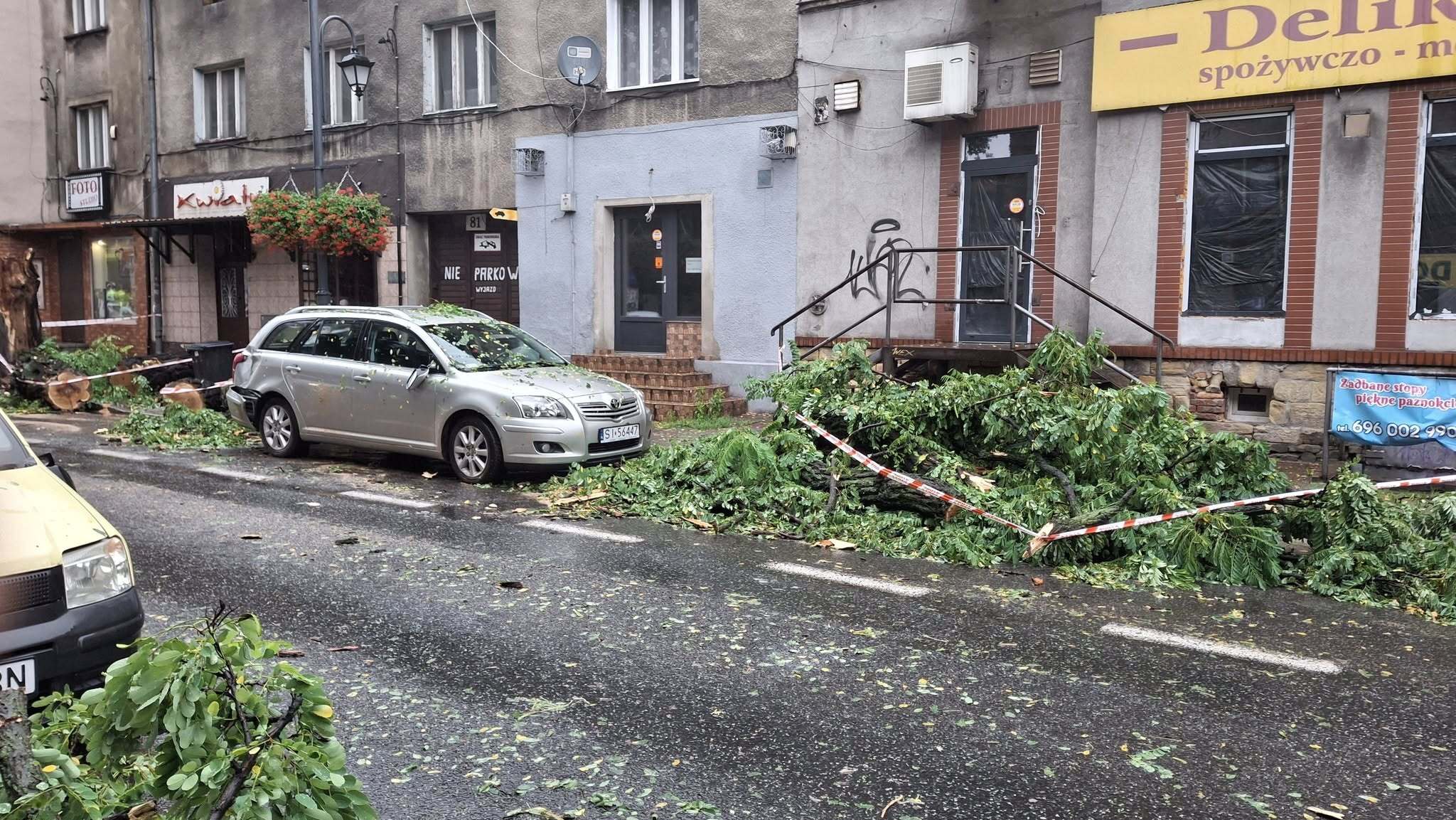 Katowice Bogucice Markiefki powalone drzewo 28 07 2025