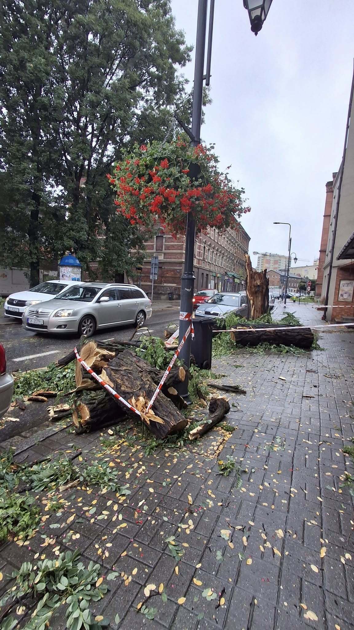 Katowice Bogucice Markiefki powalone drzewo 28 07 2025