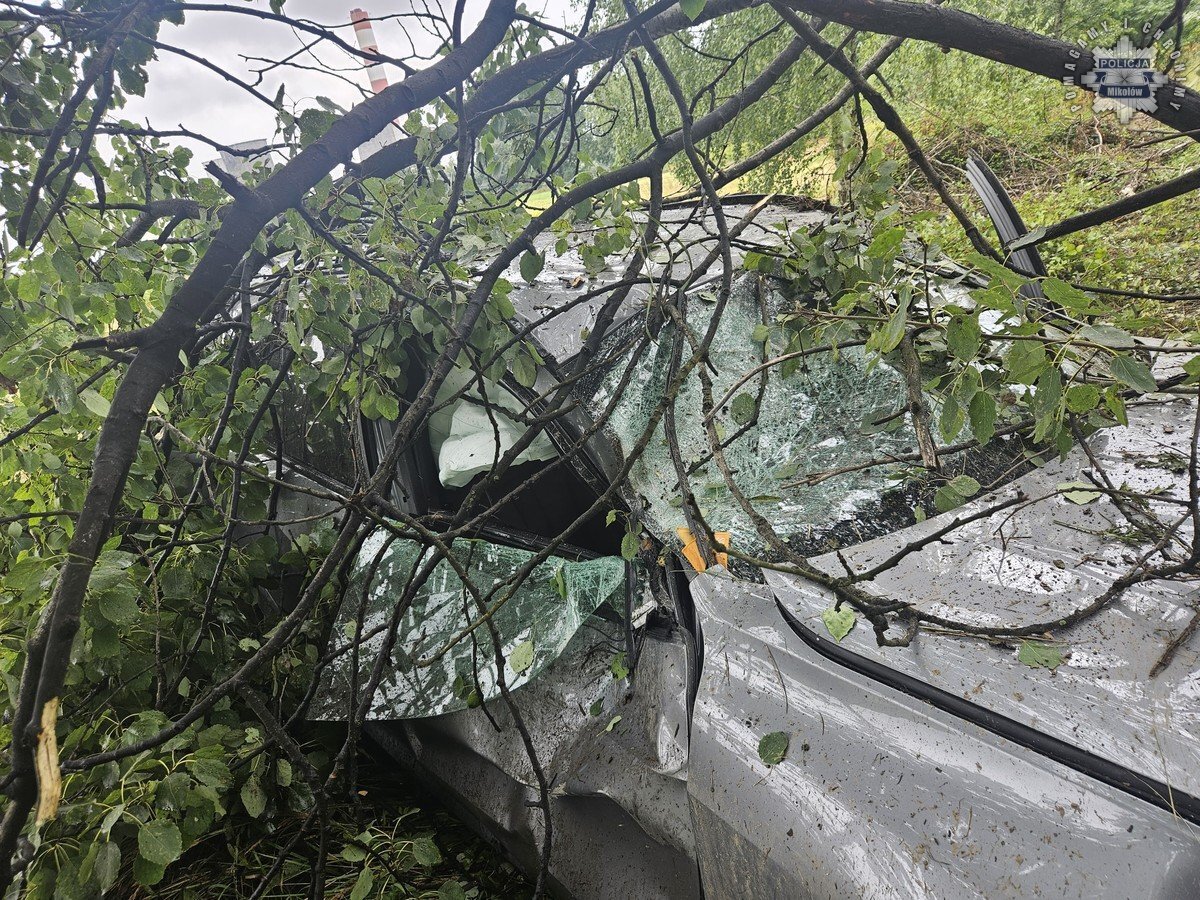 Kierowca BMW z Katowic uderzył w drzewo