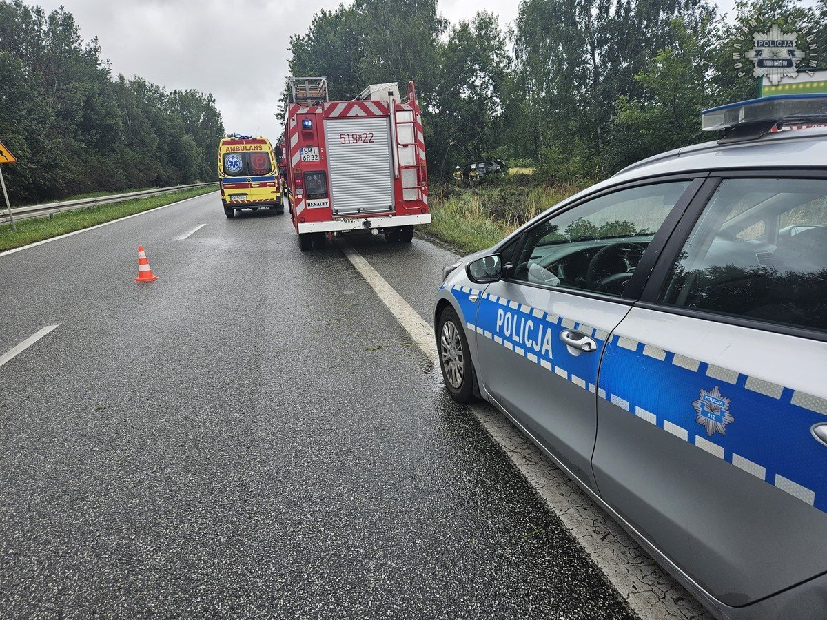 Kierowca BMW z Katowic uderzył w drzewo