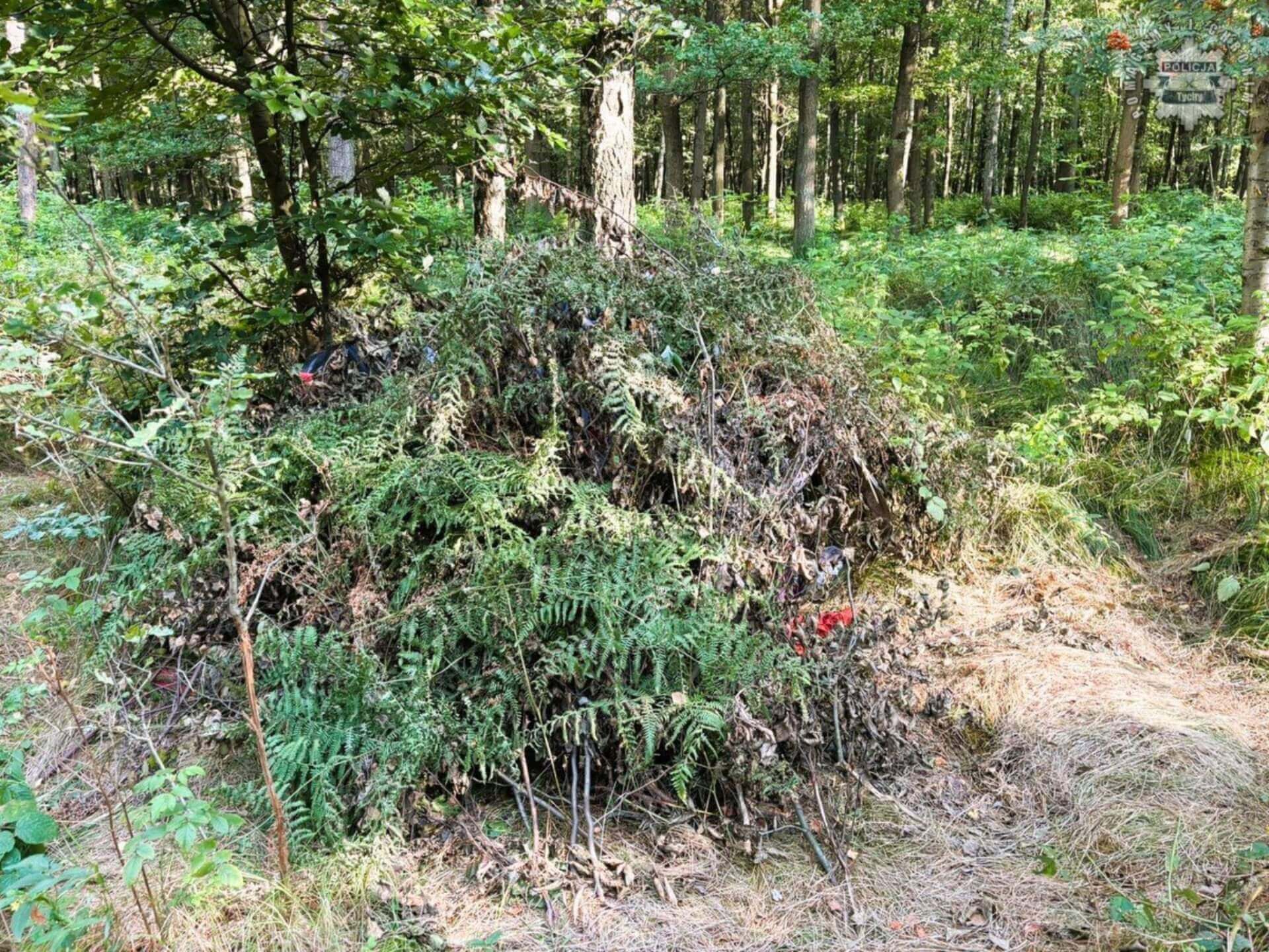 Koczownik, Las Murckowski
