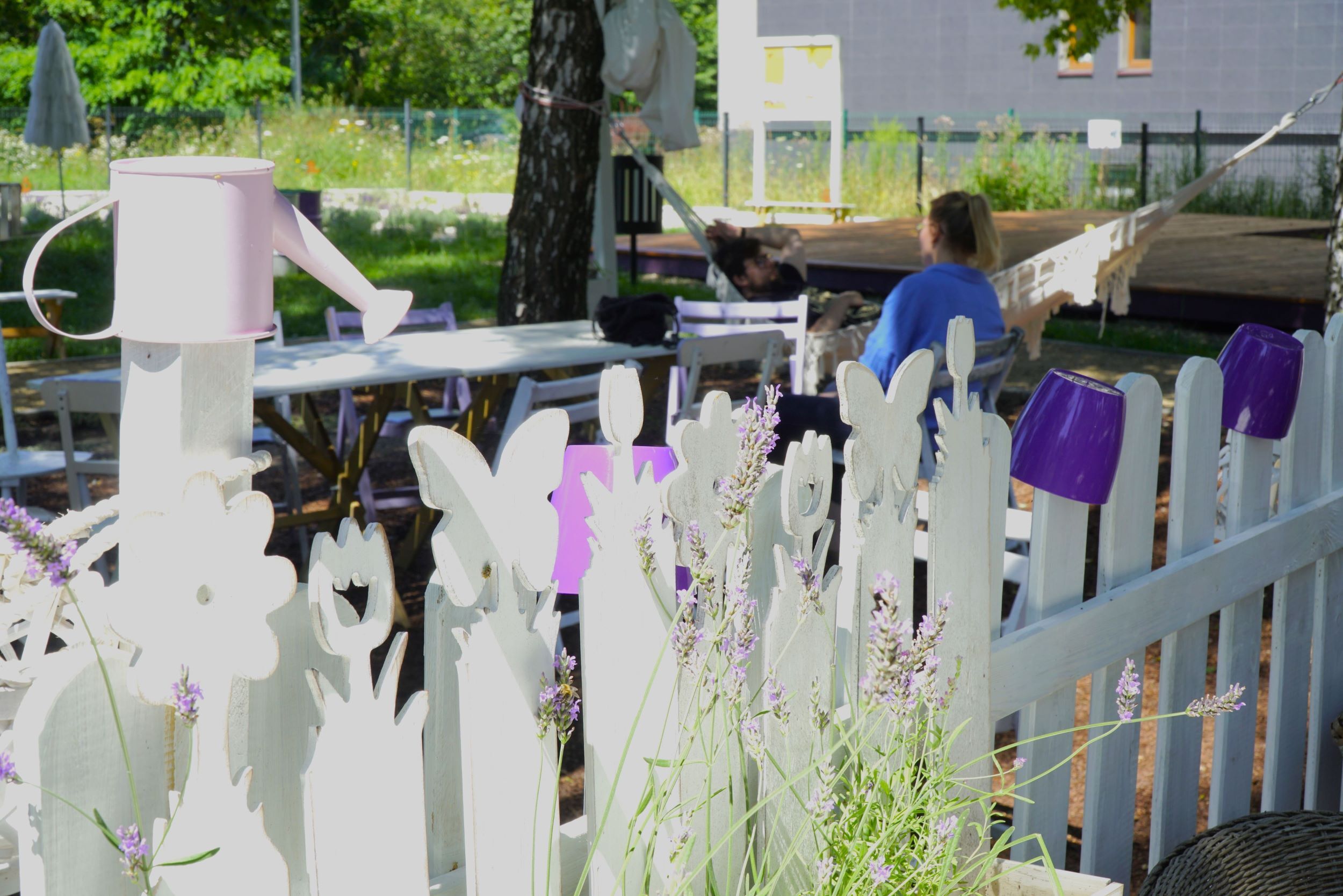 Lawendowy ogród Ziołowa Katowice