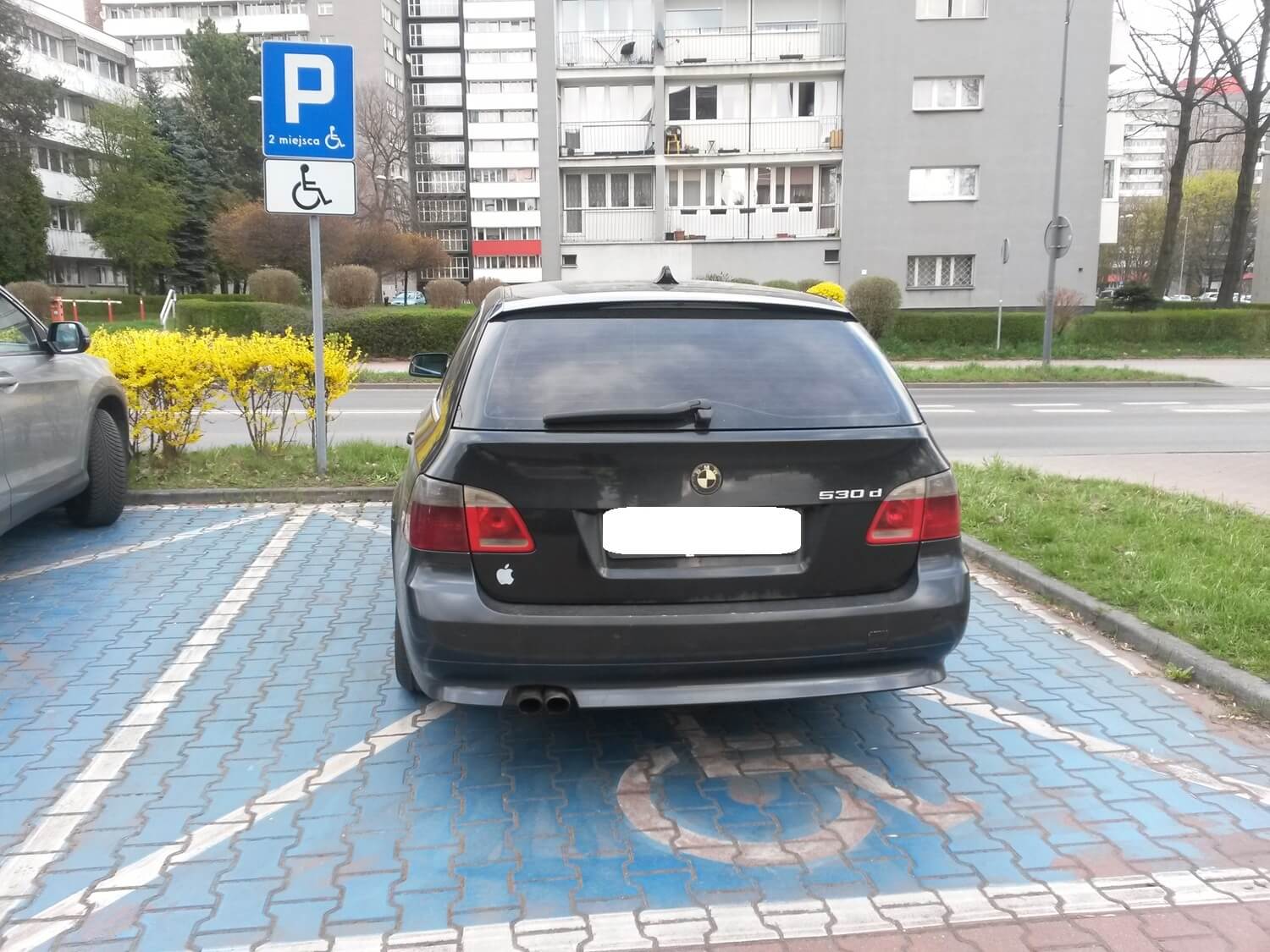 Miszczowie Parkowania w Katowicach