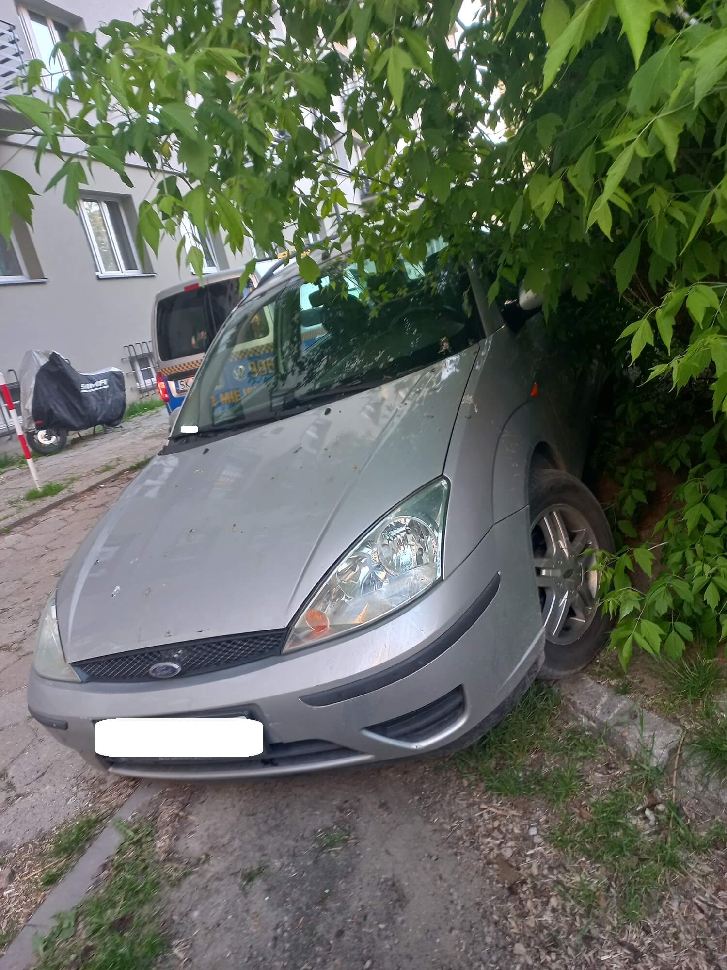 Miszczowie Parkowania w Katowicach