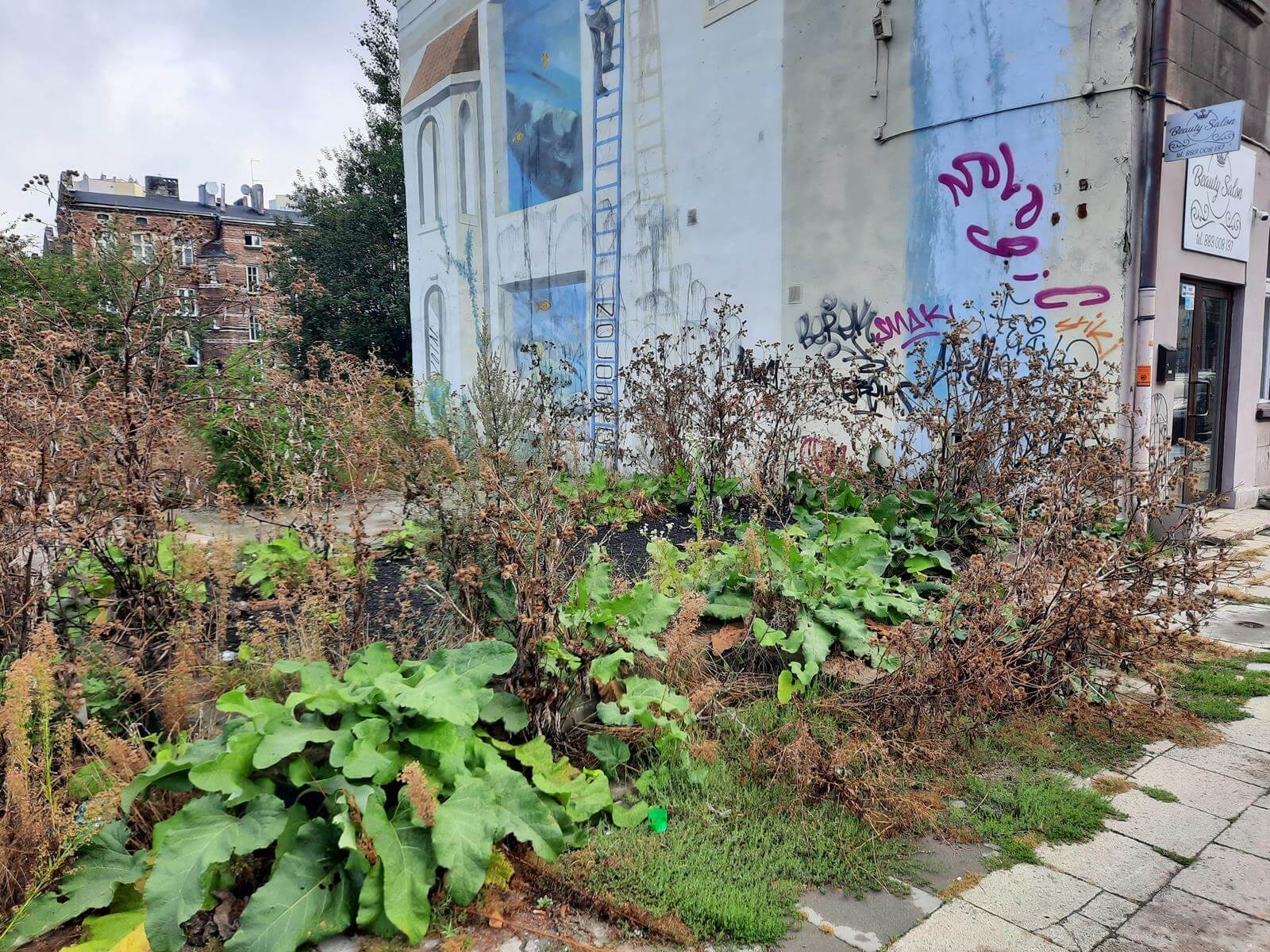 Mural 1 Maja 7 Katowice