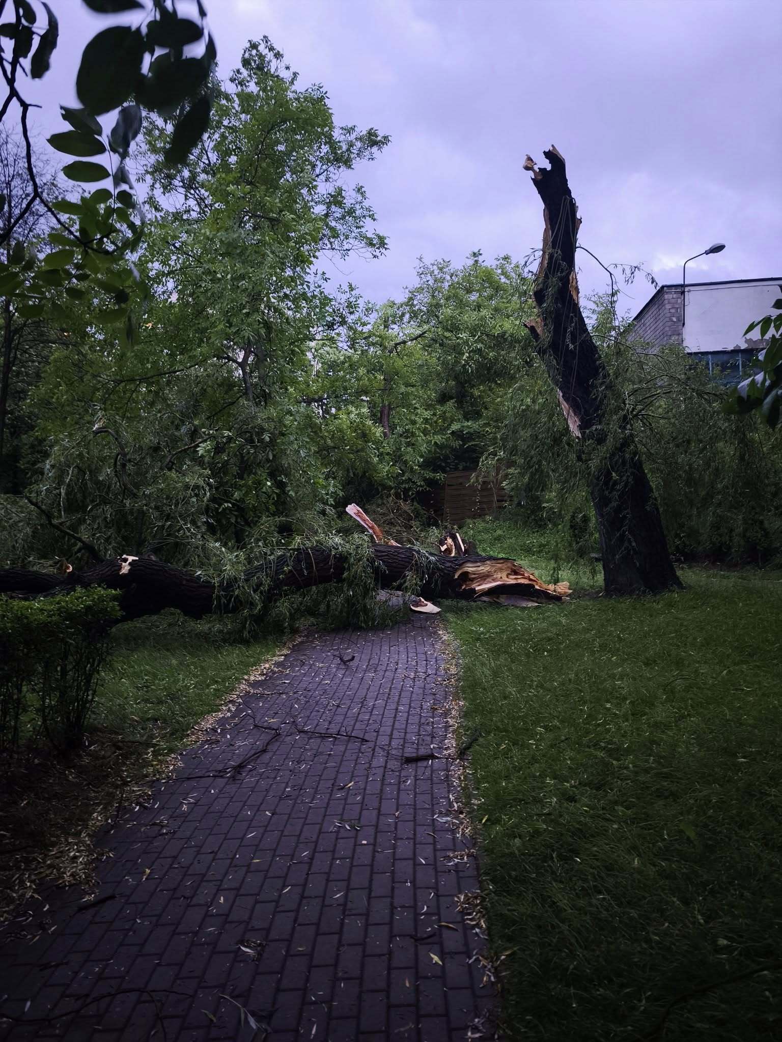 Ochotnicza Straż Pożarna w Katowicach Szopienicach 2