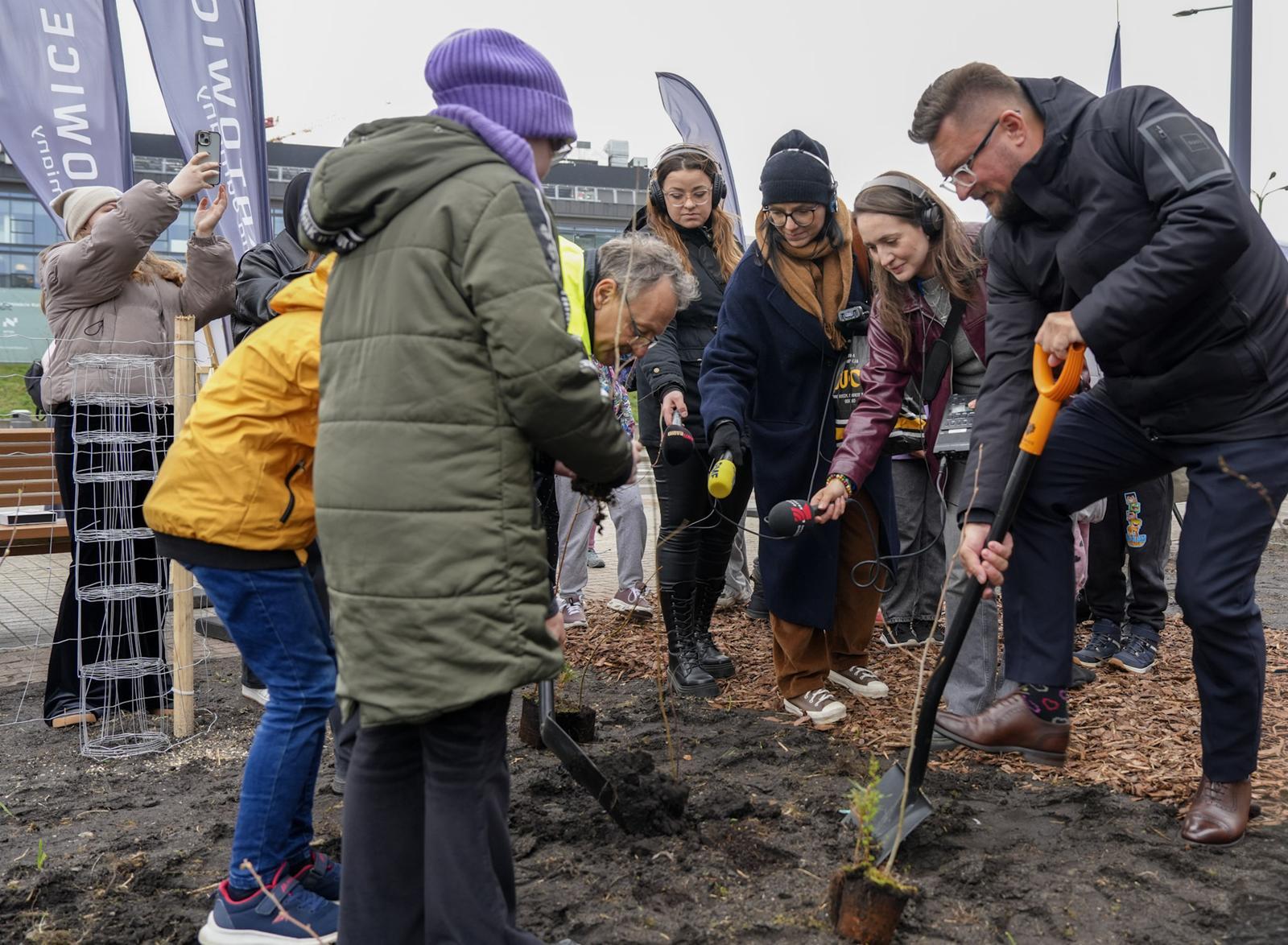 Sadzenie mikrolas Katowice 3