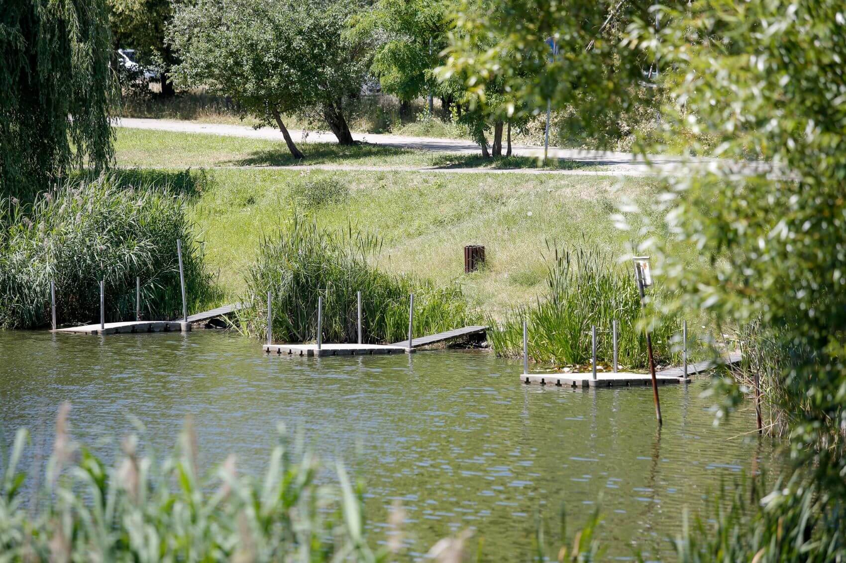 Staw Maroko Katowice podesty