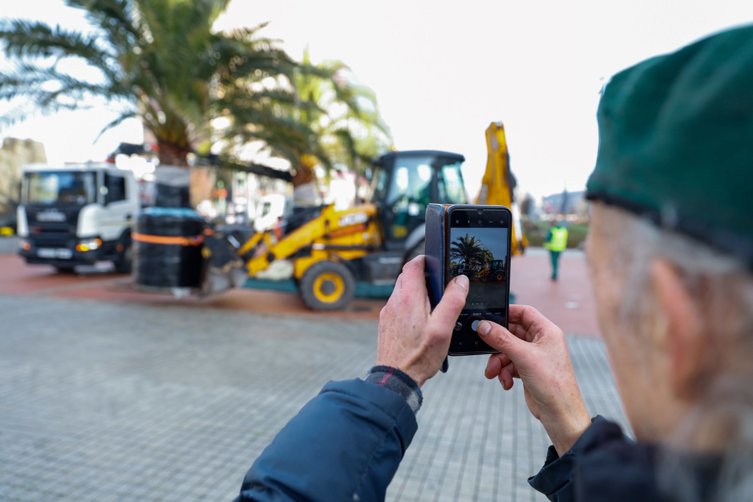 Transport palmy Katowice