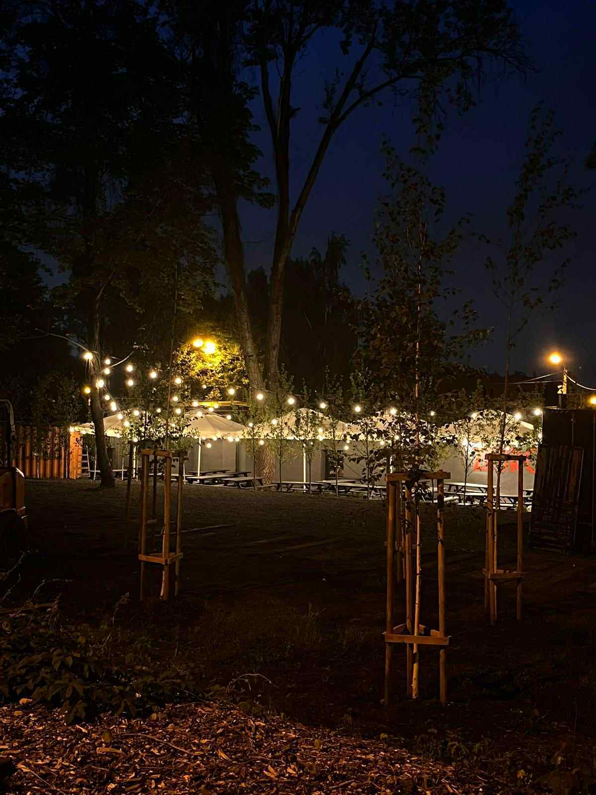 Żebrownia Katowice ogródek