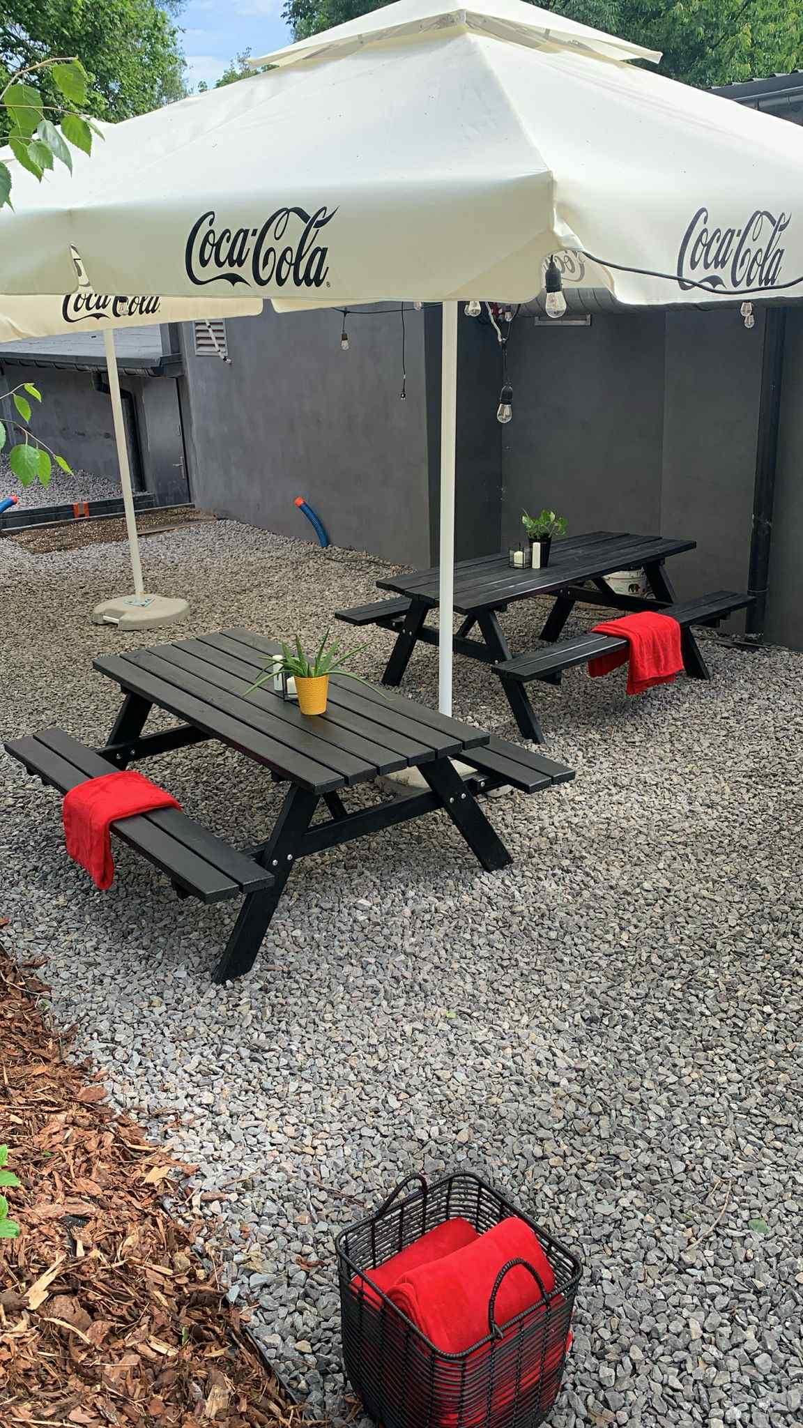 Żebrownia Katowice ogródek