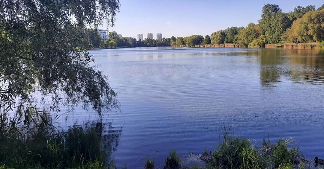 Katowice. Tragiczny wypadek. Mężczyzna utonął po tym, jak wjechał autem do stawu "Łąka" w Dolinie Trzech Stawów