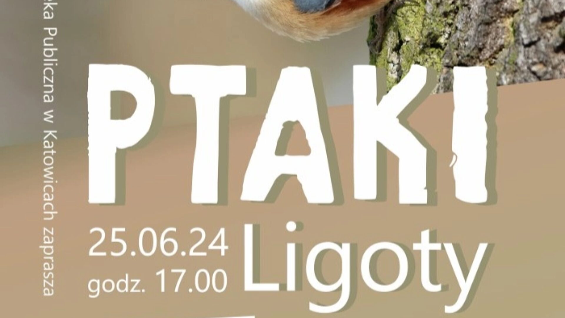 Ptaki ligoty Ptaki ligoty