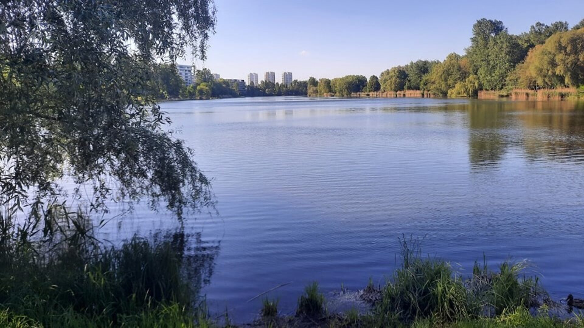 Staw Laka Katowice Staw Laka Katowice