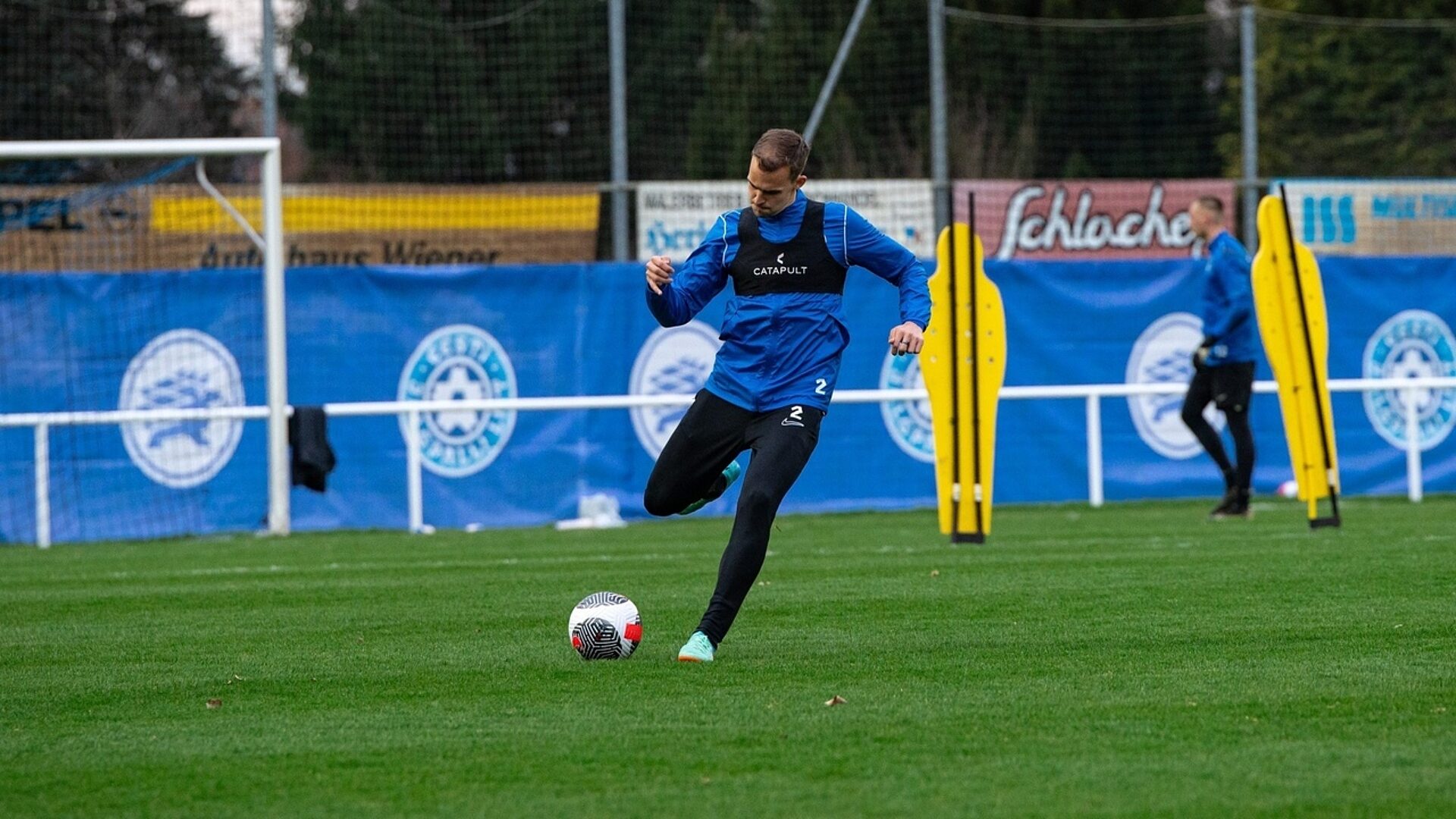 Gks kuusk prof Gks kuusk prof