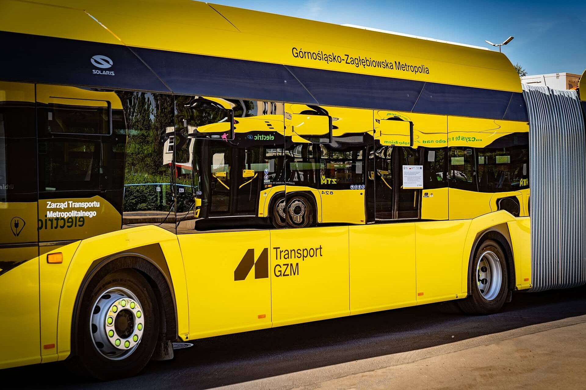 Transport gzm autobus Transport gzm autobus