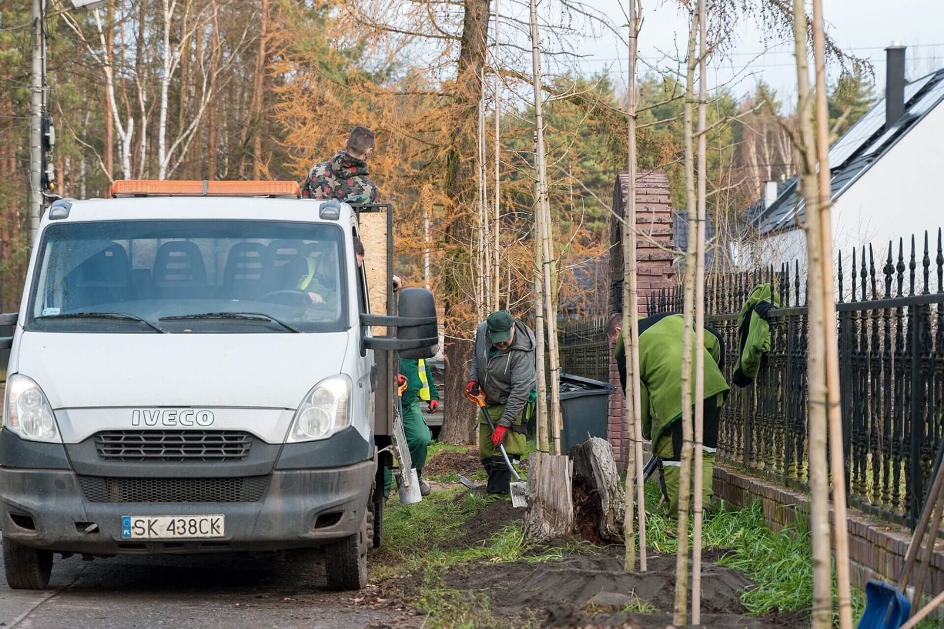 Nowe drzewa przy ul Szarotek Fot KAW Nowe drzewa przy ul Szarotek Fot KAW