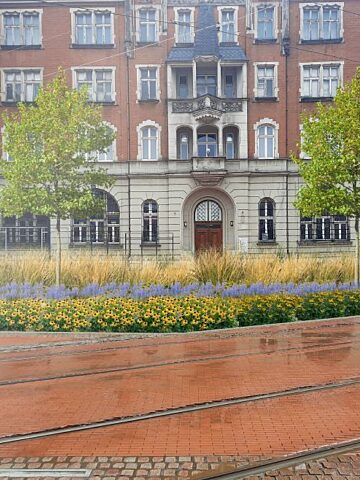 Zieleniec rynek katowice Zieleniec rynek katowice