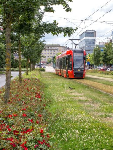 Aleja Korfantego, Katowice Aleja Korfantego, Katowice