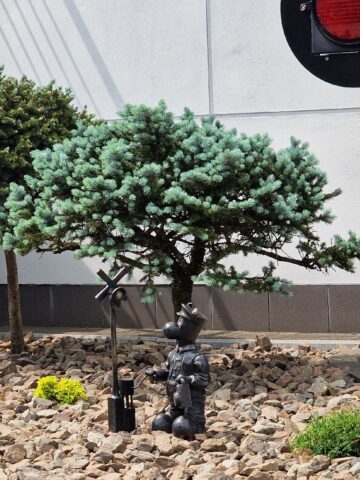 Bebok Zwusik Bebok Zwusik