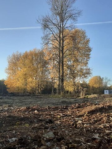 Dawniej aleja drzew teraz stadion GKS Dawniej aleja drzew teraz stadion GKS