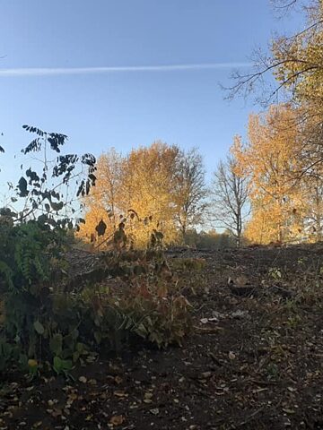 Dawniej aleja drzew teraz stadion GKS Dawniej aleja drzew teraz stadion GKS