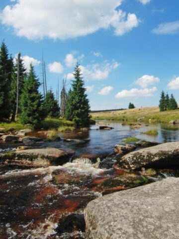 Hotel Sudetia Hotel Sudetia