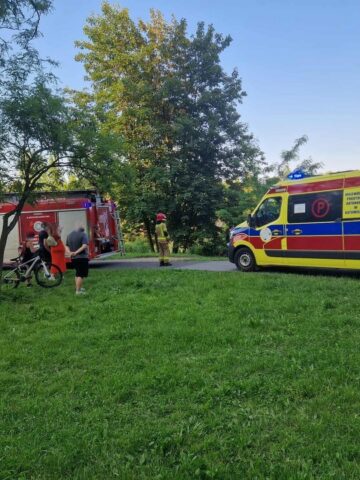 Katowice. Dolina Trzech Stawów – staw Łąka. 21 czerwca 2025. Katowice. Dolina Trzech Stawów – staw Łąka. 21 czerwca 2025.