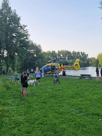 Katowice. Dolina Trzech Stawów – staw Łąka. 21 czerwca 2025. Katowice. Dolina Trzech Stawów – staw Łąka. 21 czerwca 2025.