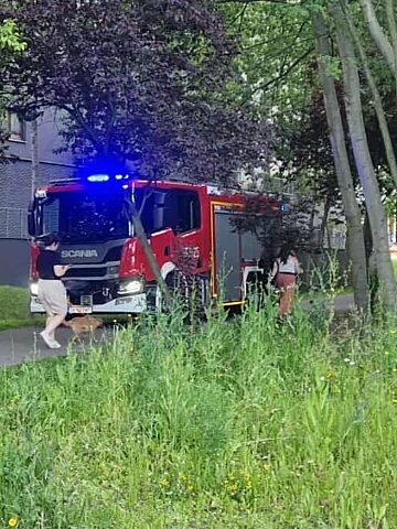 Katowice. Dolina Trzech Stawów – staw Łąka. 21 czerwca 2025. Katowice. Dolina Trzech Stawów – staw Łąka. 21 czerwca 2025.