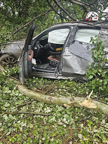 Kierowca BMW z Katowic uderzył w drzewo Kierowca BMW z Katowic uderzył w drzewo