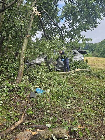 Kierowca BMW z Katowic uderzył w drzewo Kierowca BMW z Katowic uderzył w drzewo