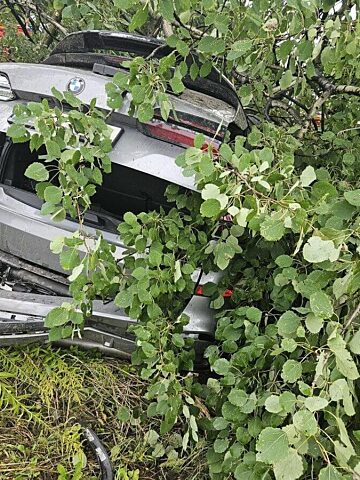 Kierowca BMW z Katowic uderzyl w drzewo Kierowca BMW z Katowic uderzyl w drzewo