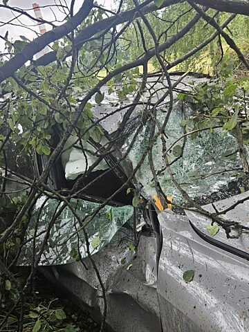 Kierowca BMW z Katowic uderzył w drzewo Kierowca BMW z Katowic uderzył w drzewo