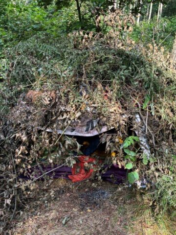 Koczownik Las Murckowski 1 Copy Koczownik Las Murckowski 1 Copy