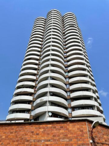 Kukurydza na Tysiącleciu Kukurydza na Tysiącleciu