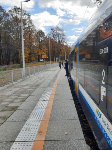 Pociąg Kolei Śląskich na stacji Katowice Murcki Pociąg Kolei Śląskich na stacji Katowice Murcki