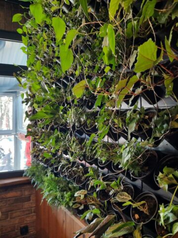 Restauracja Żebrownia, Katowice Restauracja Żebrownia, Katowice