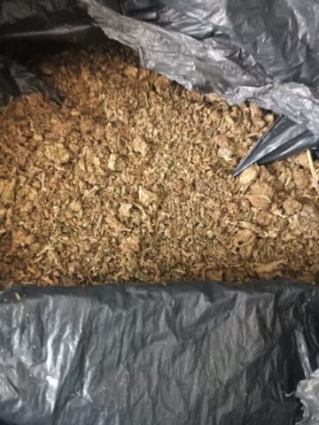 Katowice narkotyki 2 Katowice narkotyki 2