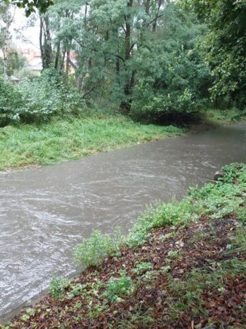 Kłodnica, Katowice, ul. Krucza Kłodnica, Katowice, ul. Krucza
