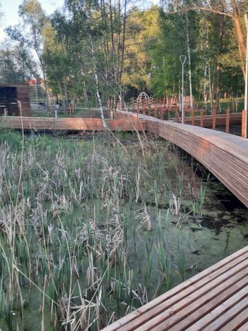 Park malownik wantuly katowice 16 Park malownik wantuly katowice 16